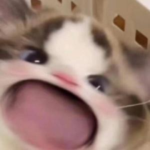 ❌❌❌❌日本人毛片
